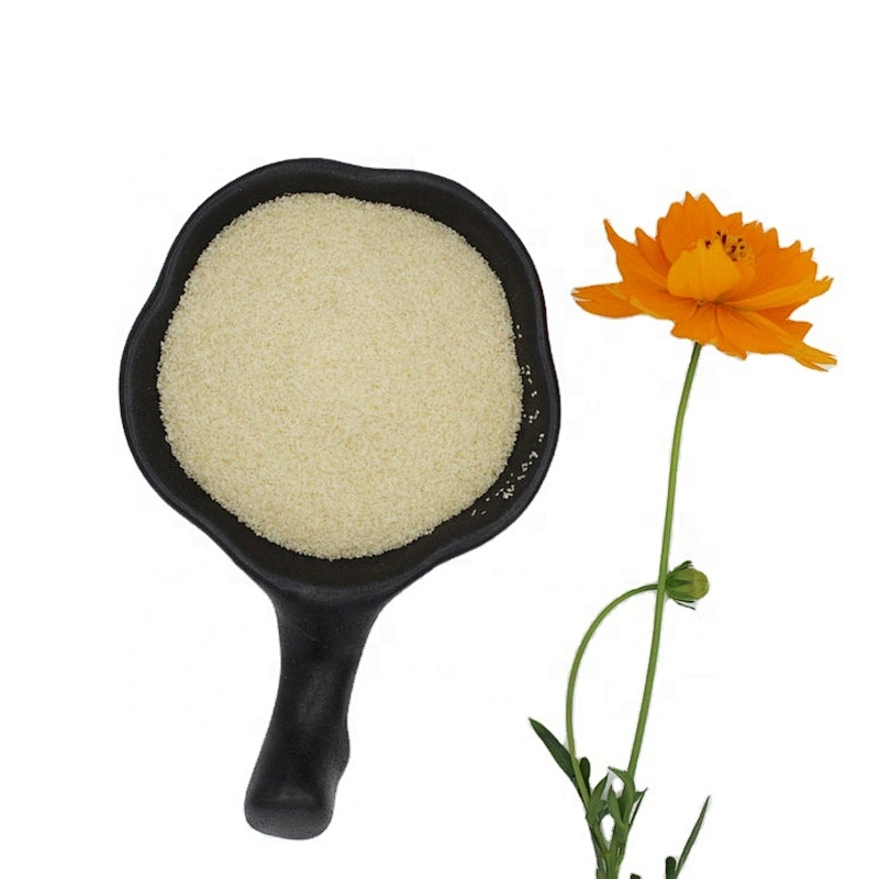 Food Additives For Cheese Grade Price Edible Beef Glatin Transparent Granular Gelatin gelatin manufacturer